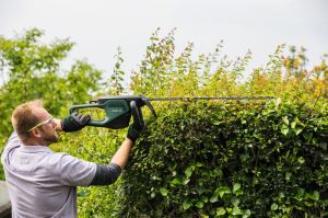 Bosch Universal HedgeCut 70 Çit Kesme Makinesi
