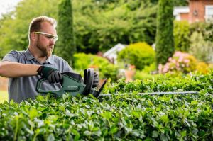 Bosch Universal HedgeCut 60 Çit Kesme Makinesi