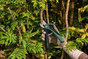 Bosch EasyPrune Bahçe Makası