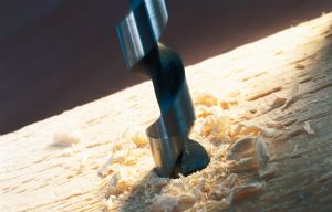 Bosch - Ahşap için Yılan Matkap Ucu 24*600 mm