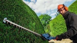 Bosch GHE 18V-50 TP Akülü Yüksek Çit Budama Makinası (SOLO) - 06008D5000