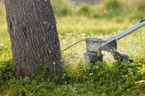 Bosch GRT 18V-33 Akülü Kenar Kesme Makinesi (SOLO) - 06008D0000