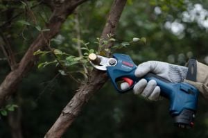 Bosch GGP 12V-25 Akülü Budama Makası (SOLO) - 06008D8101